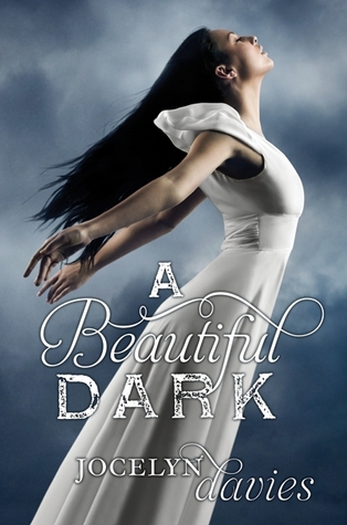 A Beautiful Dark (2011) by Jocelyn Davies