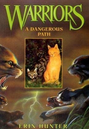 A Dangerous Path (2005)