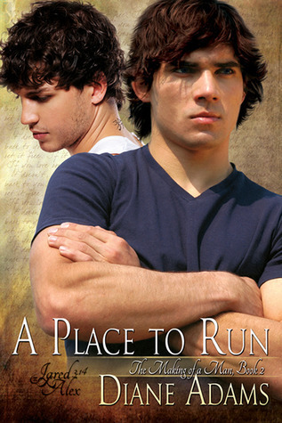 A Place To Run (2011) by Diane  Adams