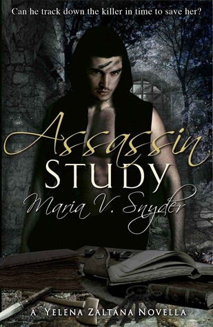Assassin Study (2008)