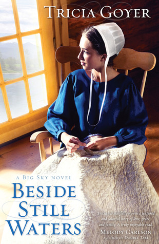 Beside Still Waters (2011) by Tricia Goyer