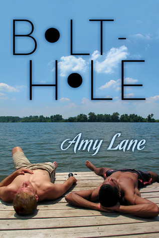 Bolt-Hole (2013) by Amy Lane