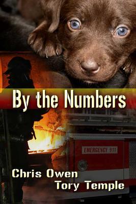 By The Numbers (2011) by Chris Owen