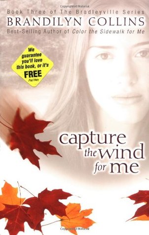 Capture the Wind for Me (2003) by Brandilyn Collins