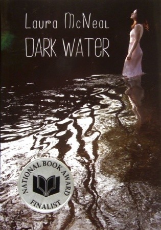 Dark Water (2010)