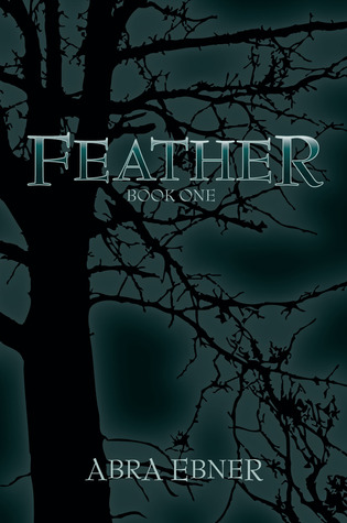Feather (2009) by Abra Ebner