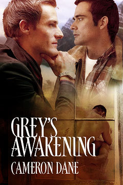 Grey's Awakening (2009) by Cameron Dane