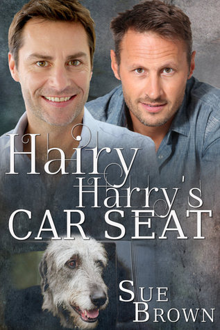 Hairy Harry's Car Seat (2013) by Sue  Brown