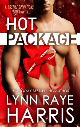 Hot Package (2000) by Lynn Raye Harris