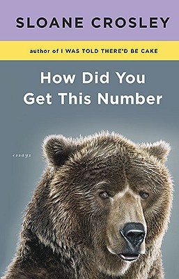 How Did You Get This Number (2010) by Sloane Crosley