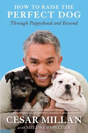 How to Raise the Perfect Dog: Through Puppyhood and Beyond (2009) by Cesar Millan