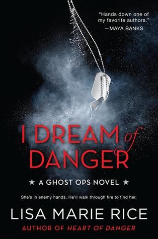 I Dream of Danger (2013) by Lisa Marie Rice