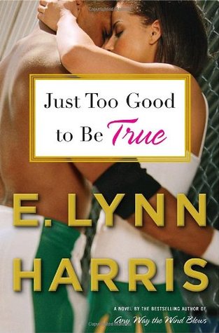 Just Too Good to Be True (2008) by E. Lynn Harris