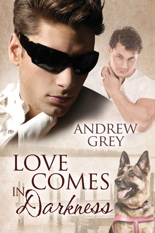 Love Comes in Darkness (2013) by Andrew  Grey
