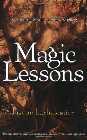Magic Lessons (2007) by Justine Larbalestier