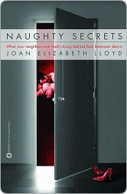 Naughty Secrets: What Your Neighbors Are Really Doing Behind Their Bedroom Doors! (2003) by Joan Elizabeth Lloyd