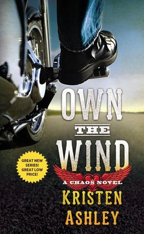 Own the Wind (2013) by Kristen Ashley