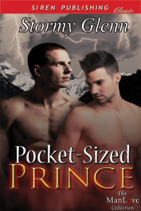 Pocket-Sized Prince (2012) by Stormy Glenn