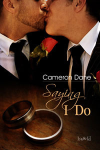 Saying I Do (2009) by Cameron Dane