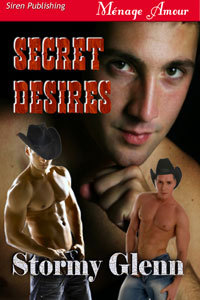 Secret Desires (2008) by Stormy Glenn