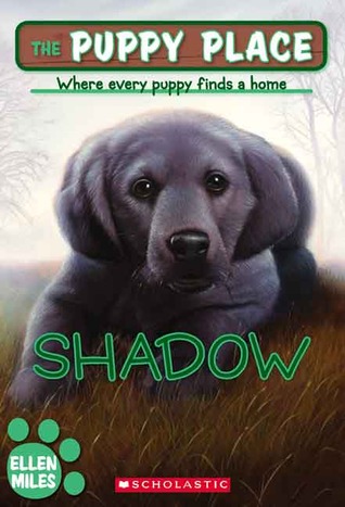 Shadow (2007) by Ellen Miles