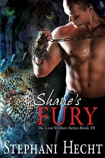 Shane's Fury (2011) by Stephani Hecht