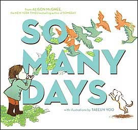 So Many Days (2010) by Alison McGhee
