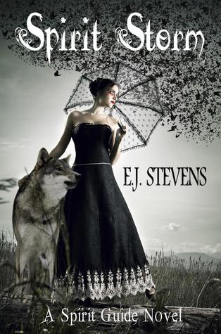 Spirit Storm (2011) by E.J. Stevens