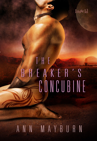 The Breaker's Concubine (2011) by Ann Mayburn