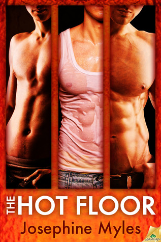 The Hot Floor (2012) by Josephine Myles