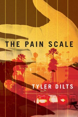 The Pain Scale (2012) by Tyler Dilts