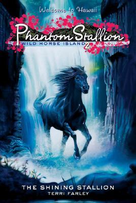 The Shining Stallion (2007) by Terri Farley