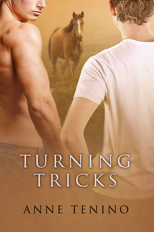 Turning Tricks (2012) by Anne Tenino